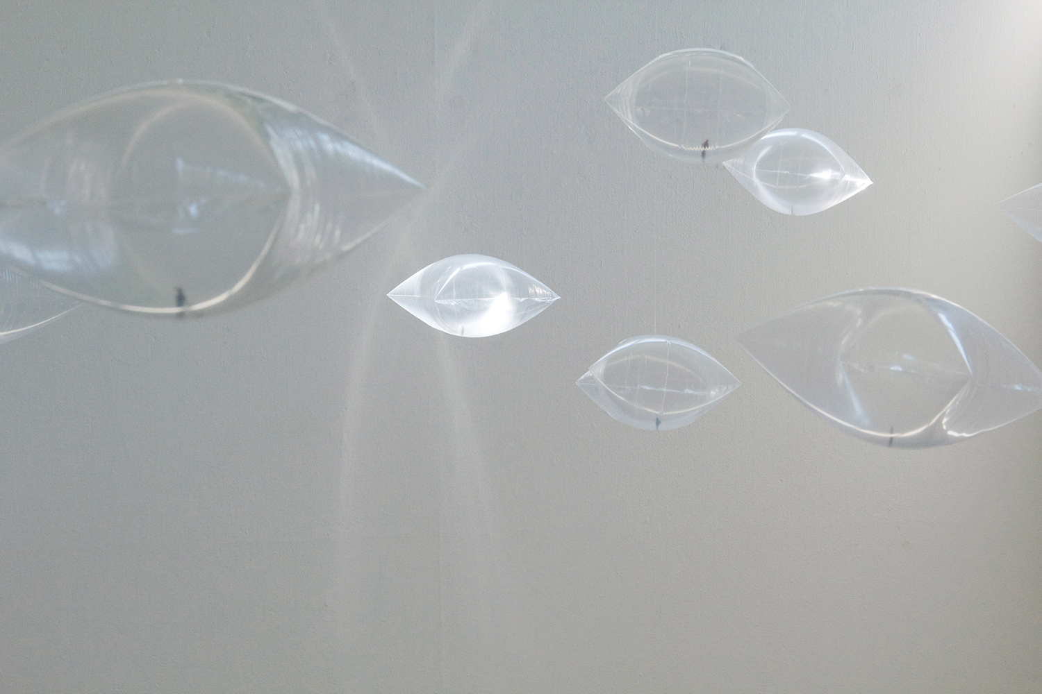Bubbles | seit 2011 | Helmut Mühlbacher